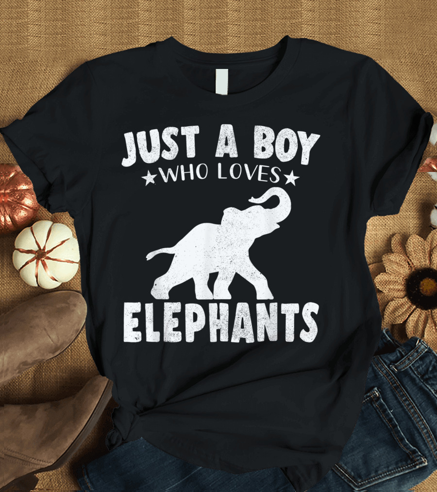Just A Boy Who Loves Elephants Cool Animals Lover Basic T-Shirt