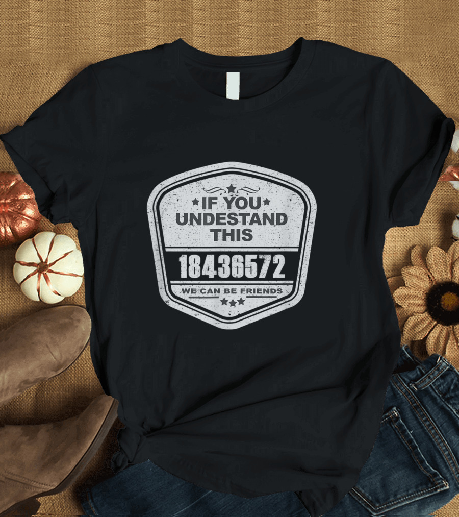 If You Understand This 18436572 We Can Be Friends Firing Order T-Shirt