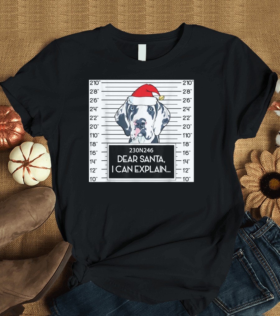 Great Dane in Santa Hat Mugshot Dear Santa I Can Explain T-Shirt