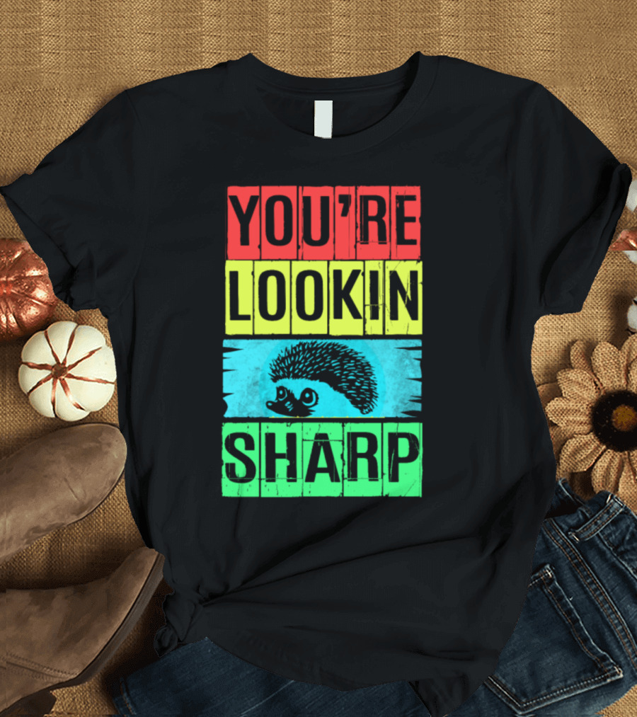 Hedgehog You're Lookin Sharp Retro 70s Vintage Animal Lover M8 T-Shirt