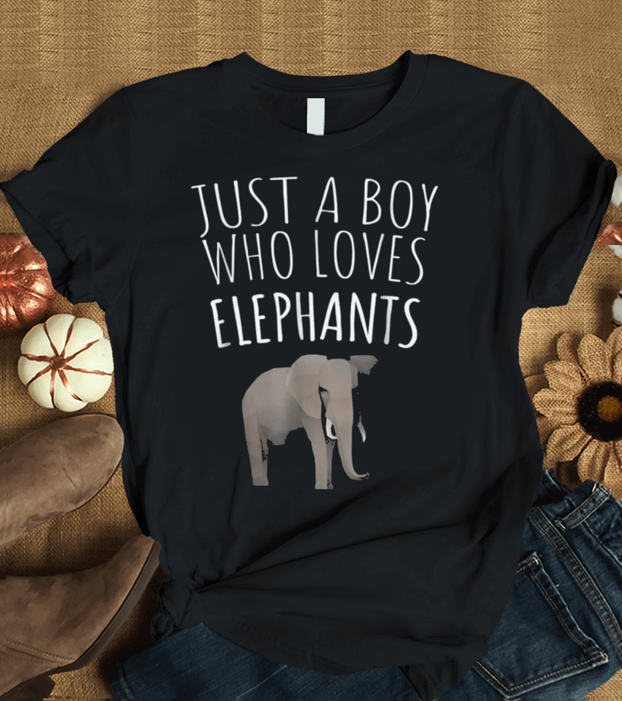 JUST A BOY WHO LOVES ELEPHANTS ELEPHANT T-Shirt