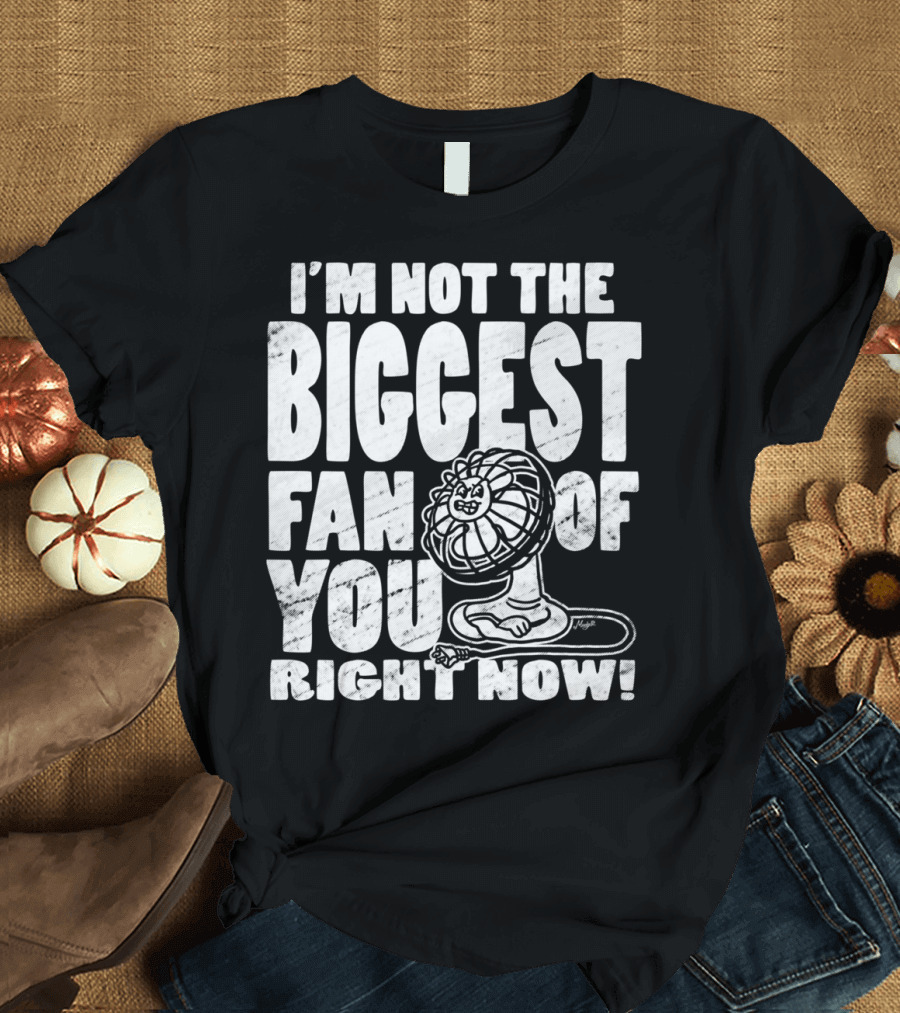 I'm Not the Biggest Fan of You Right Now T-Shirt