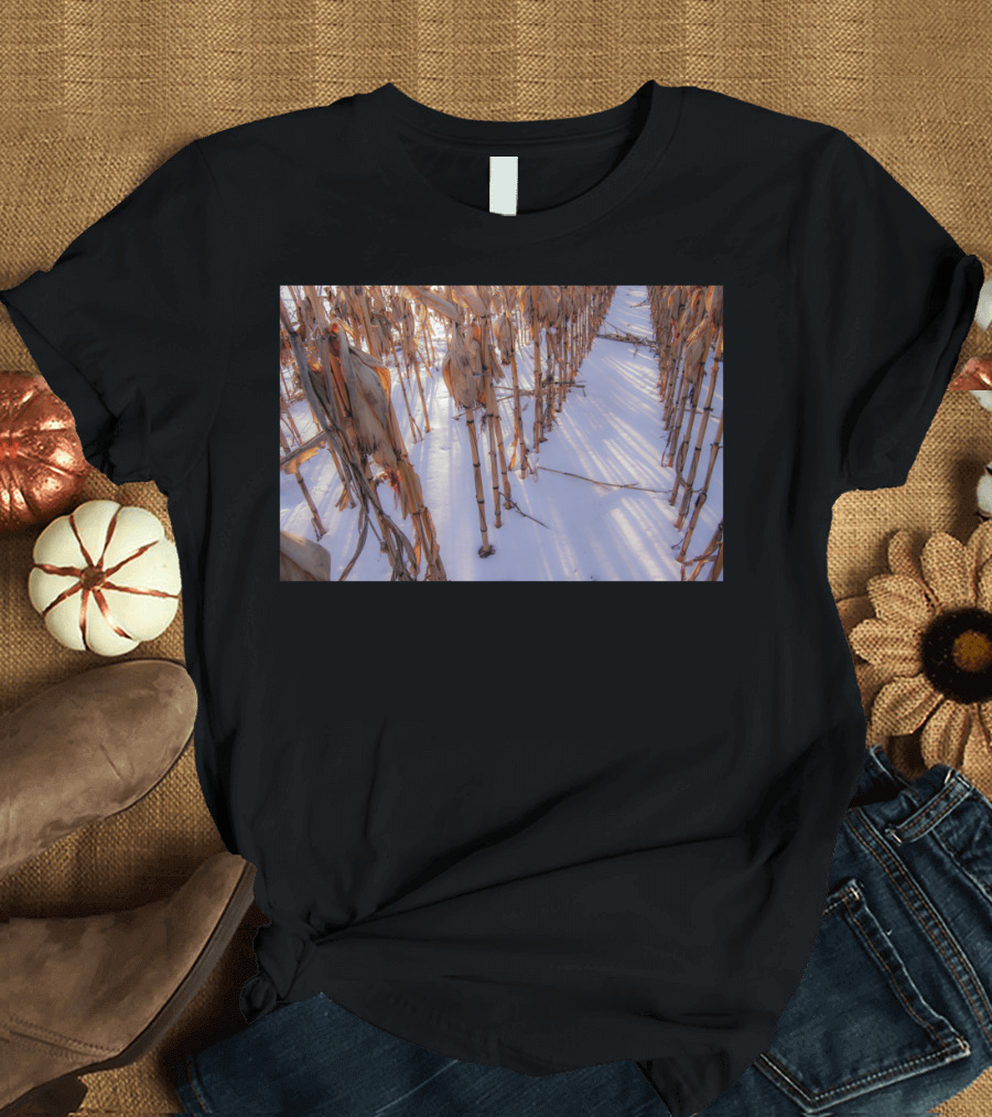 Frozen Cornfield in Winter Sunset T-Shirt
