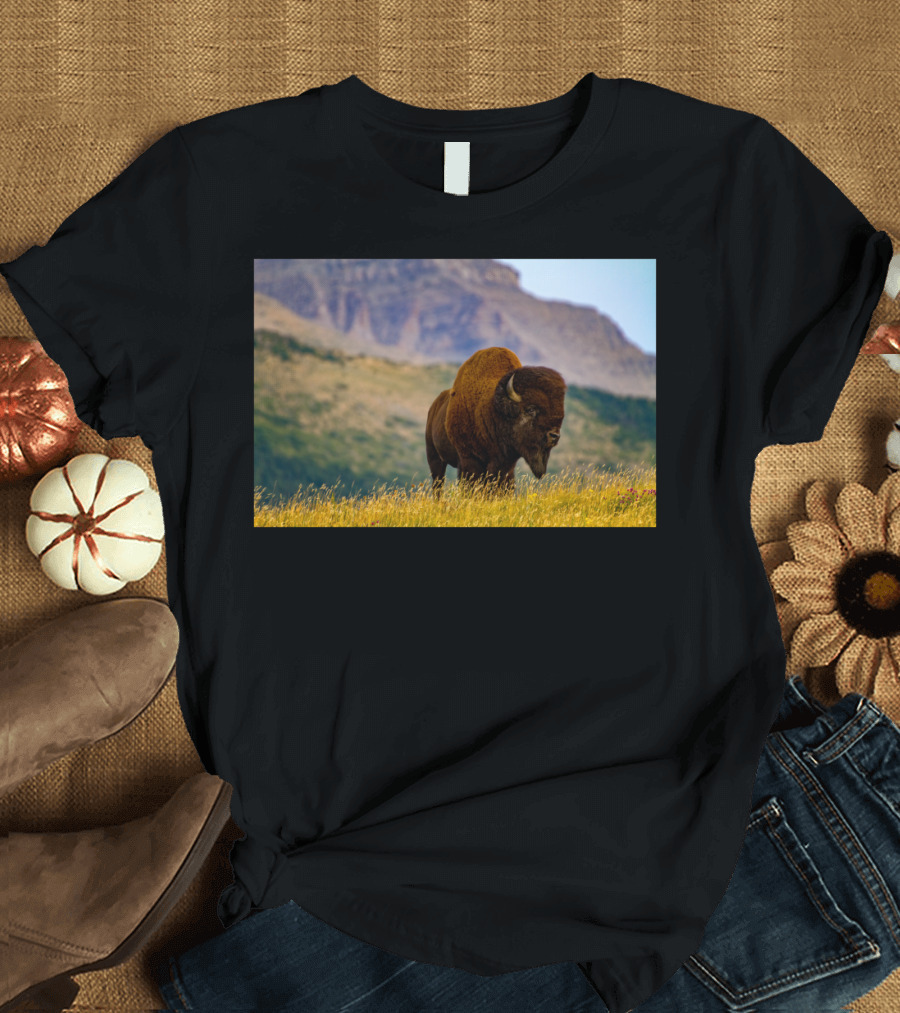 Prairie Bison Roaming Majestic Mountain Landscapes T-Shirt