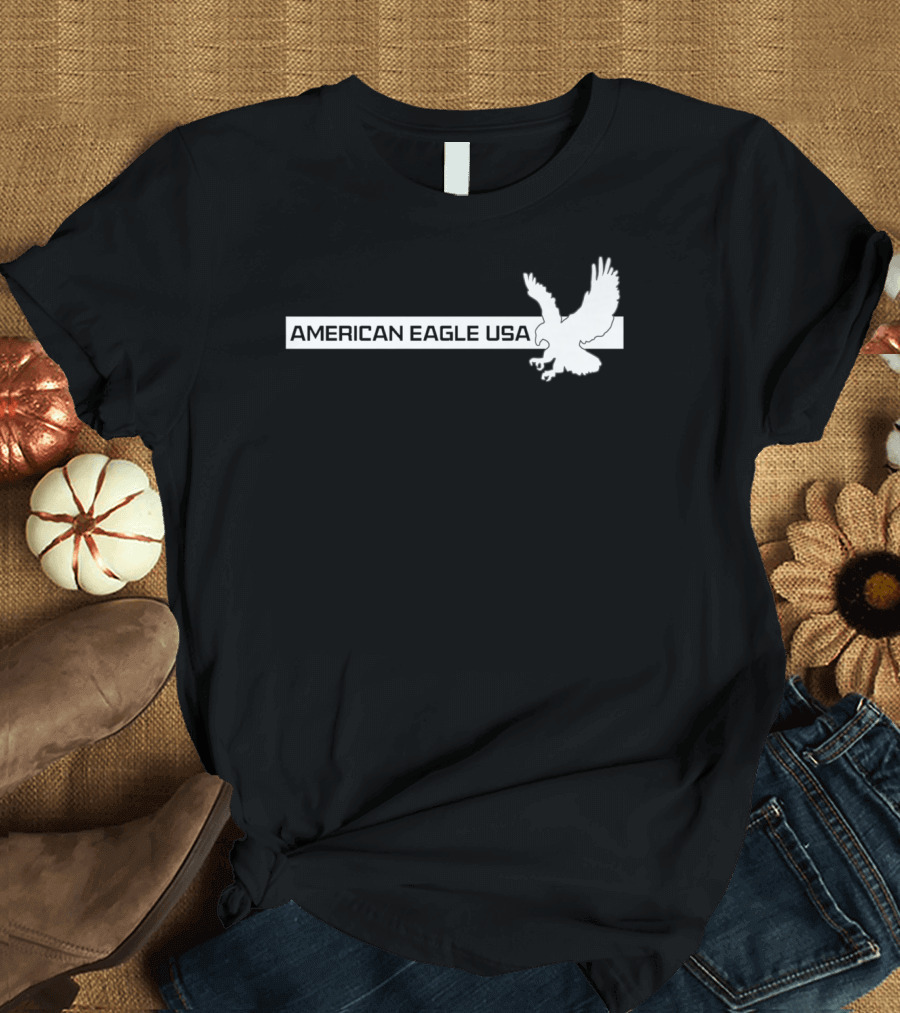 American Eagle USA Flight Icon T-Shirt