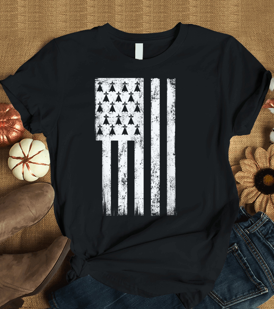 Bretagne Flag Distressed Bretagne Region Of France T-Shirt