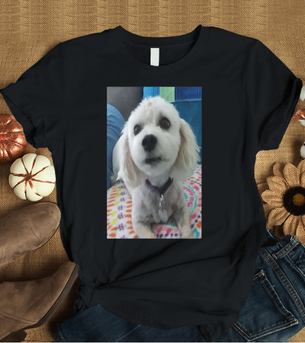 T-Shirt: Cute Dog And Colorful Blanket T-Shirt Cute Dog And Colorful Blanket T-Shirt