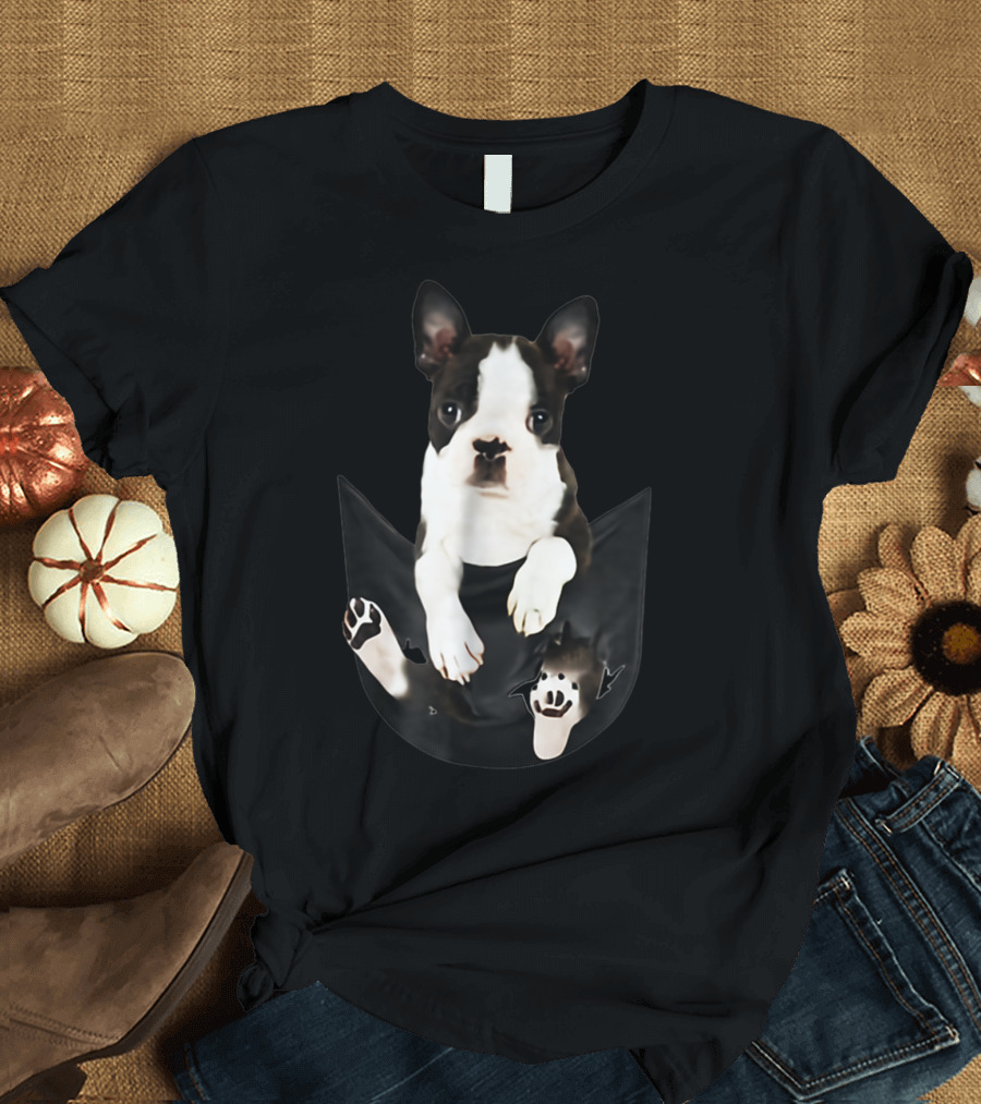 Boston Terrier Puppy in Pocket T-Shirt