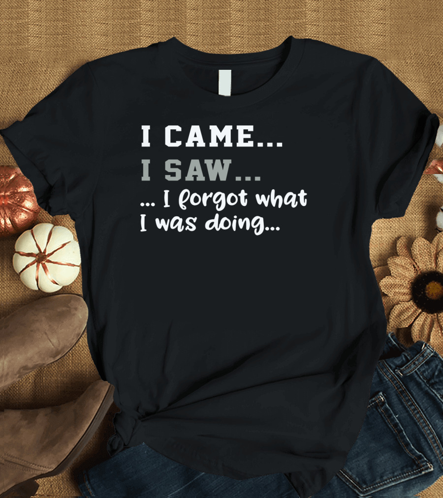 I Came I Saw I Forgot What I Was Doing T-Shirt