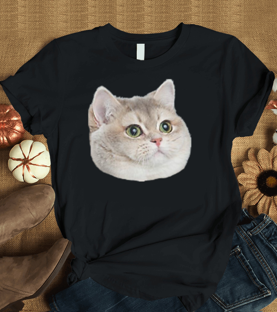 Heavybreathing Corner Cat Kitty Meme Emote T-Shirt
