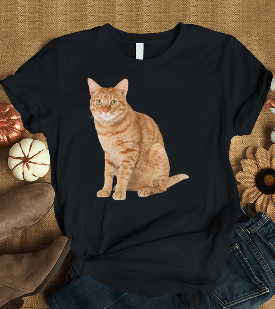 Orange Tabby Cat Sitting T-Shirt