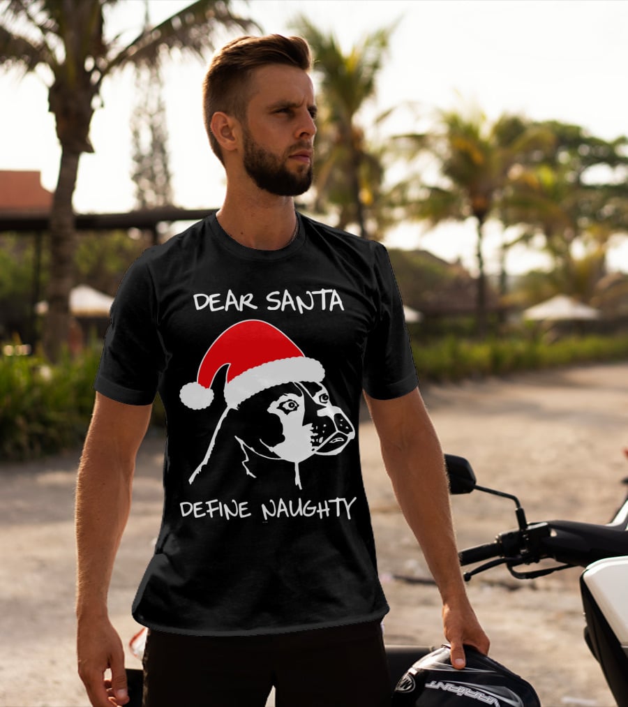 Dear Santa Define Naughty Boxer Funny Ugly Xmas Dog Lovers T-Shirt