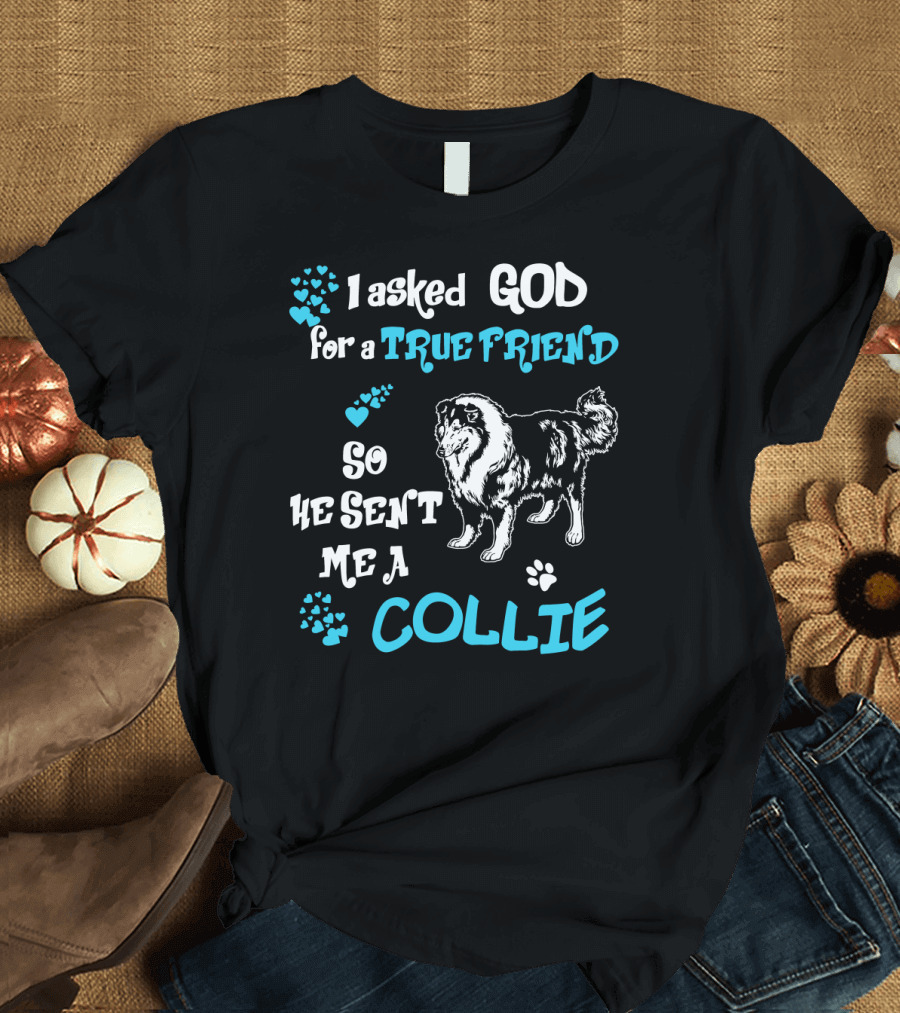 I Asked God for a True Friend So He Sent Me a Collie T-Shirt