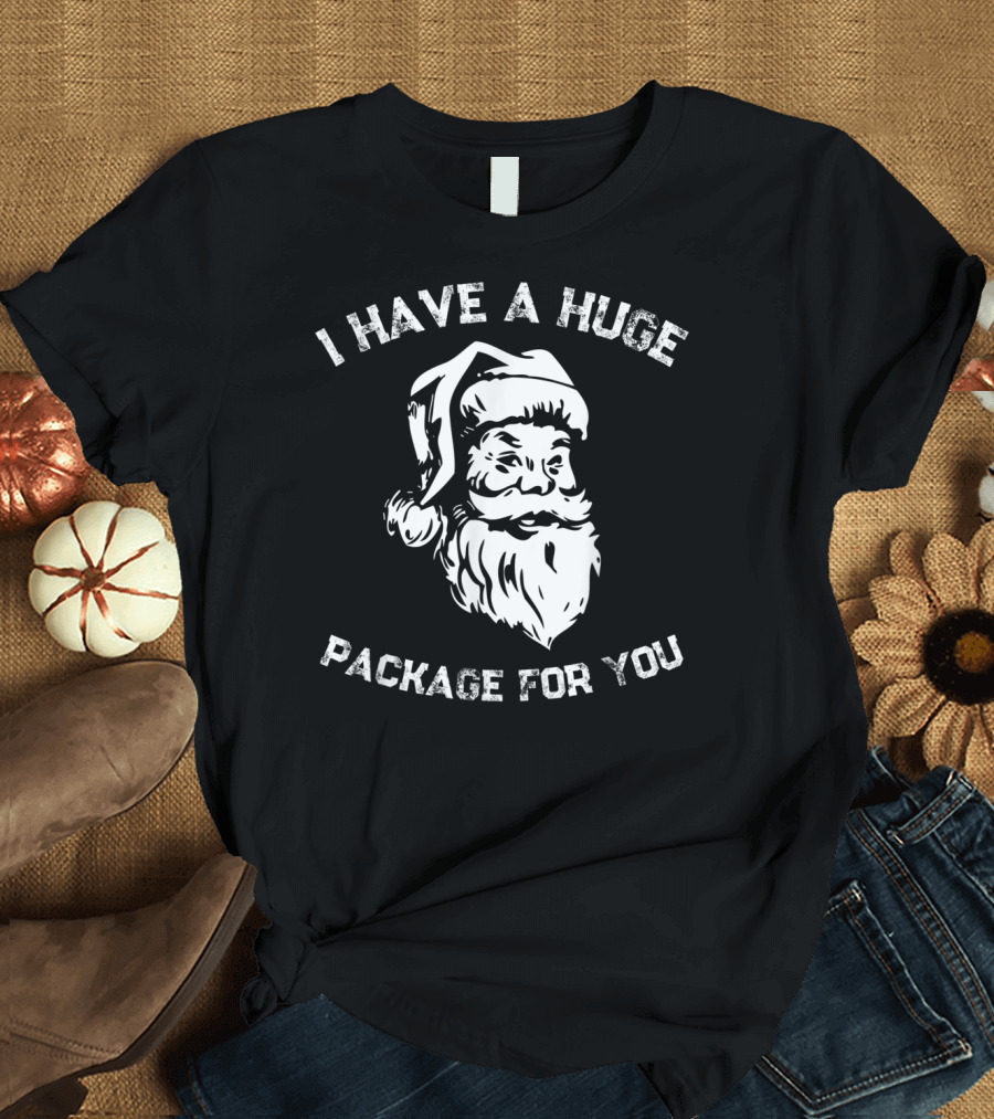 I Have A Huge Package For You Santa T-Shirt