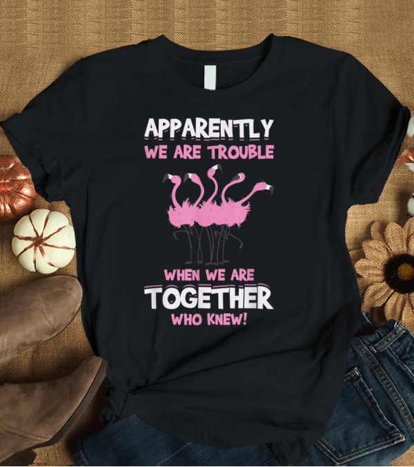 T-Shirt: Apparently We Are Trouble When We Are Together Who Knew T-Shirt Apparently We Are Trouble When We Are Together Who Knew T-Shirt