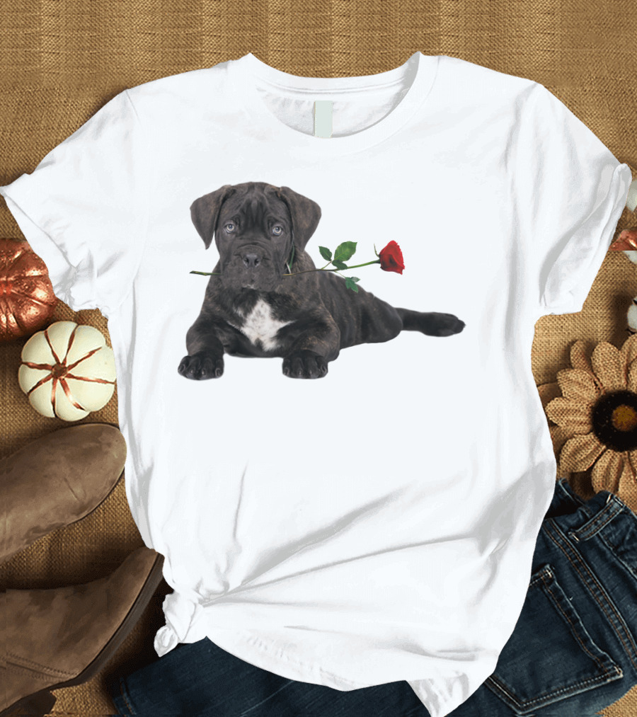 Cane Corso Puppy with a Red Rose in Mouth T-Shirt