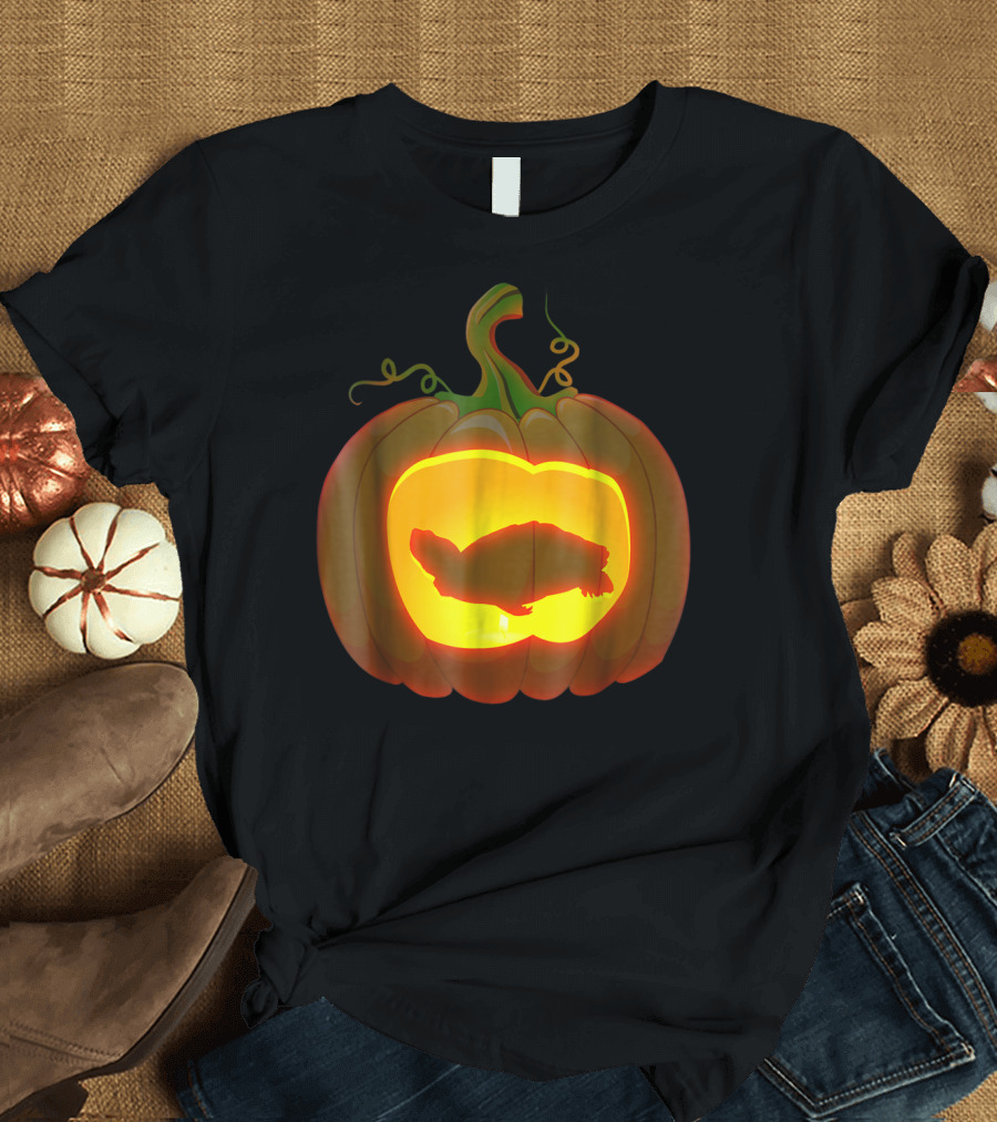 Redeared Slider Turtle Pumpkin Carving T-Shirt