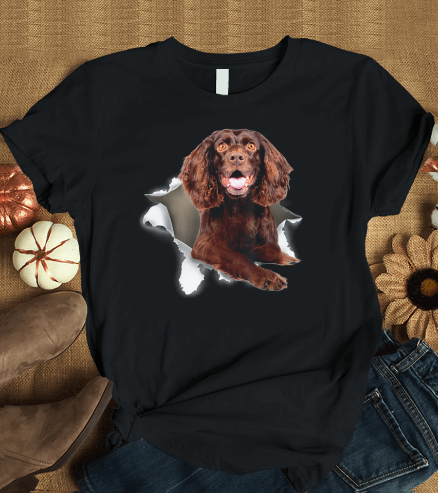 Boykin Spaniel Dog Peeking Through Torn Effect T-Shirt