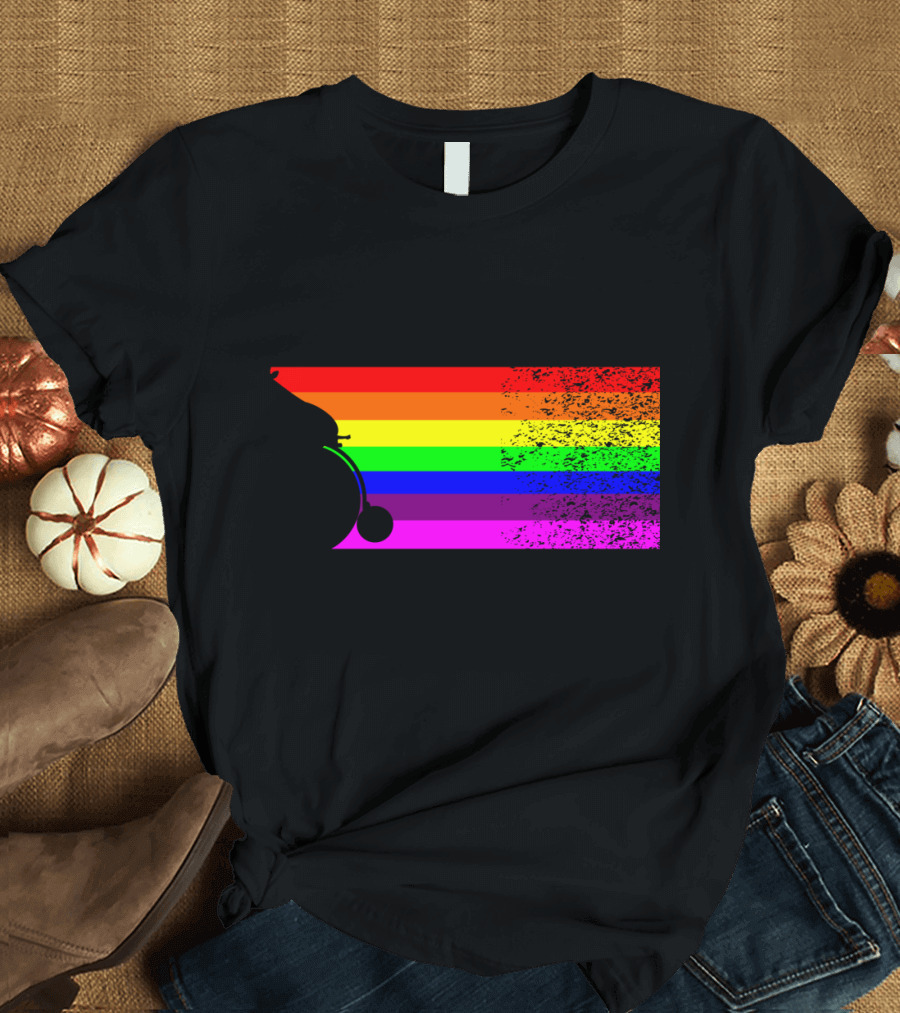 Giraffe Riding A Bike with Retro Rainbow Stripes T-Shirt