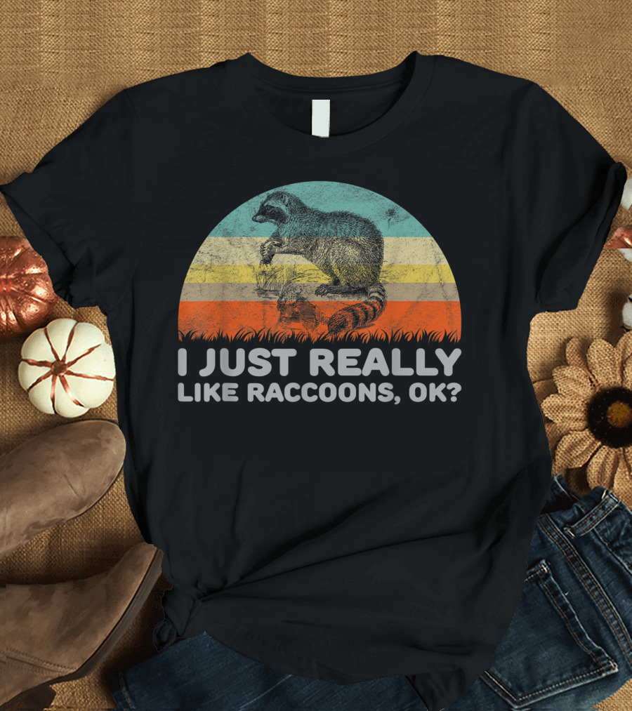 I Just Really Like Raccoons Ok Vintage Sunset Stripes T-Shirt