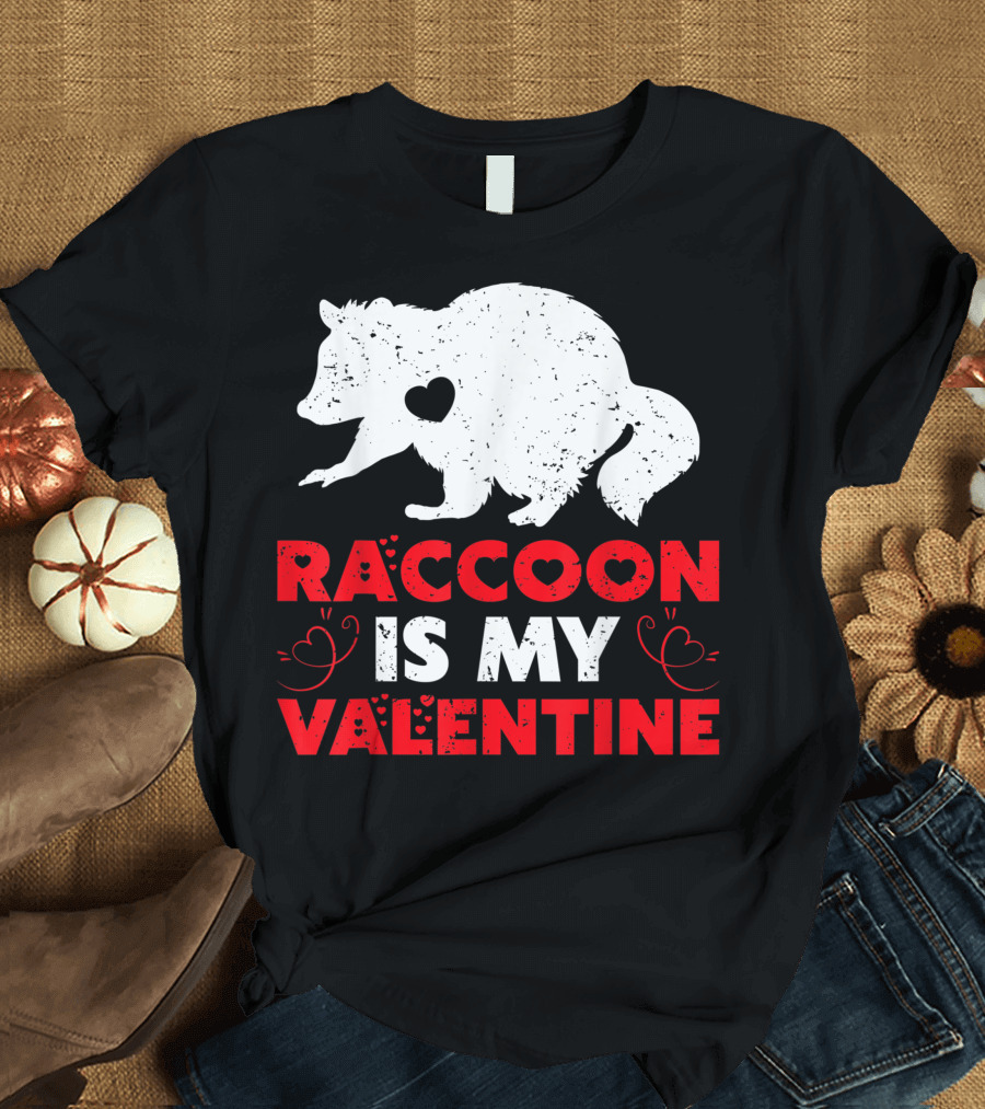 Raccoon Is My Valentine Raccoon Valentines Day T-Shirt