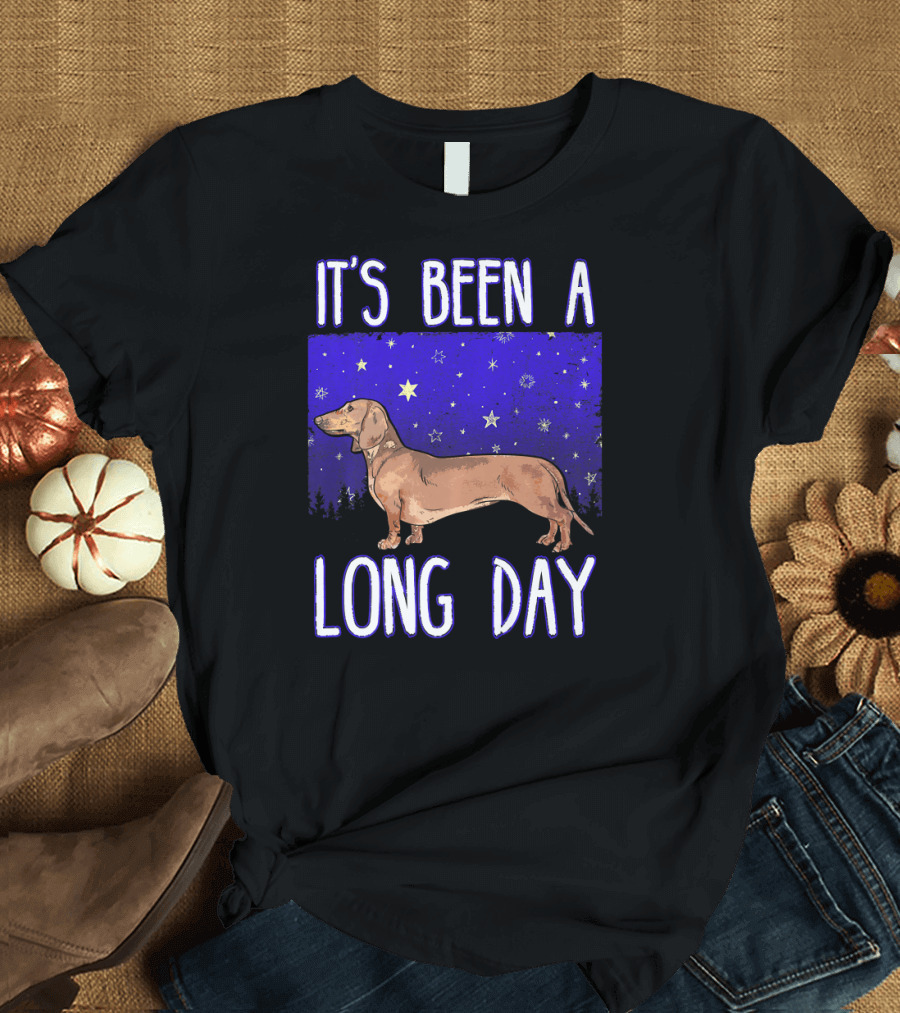 IT'S BEEN A LONG DAY DACHSHUND NIGHT T-Shirt