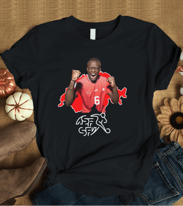 T-Shirt: Denis Zakaria Switzerland Football Jersey Number 6 T-Shirt Denis Zakaria Switzerland Football Jersey Number 6 T-Shirt