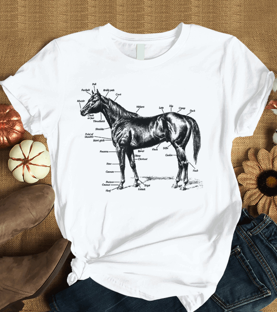 Big Texas Anatomy of a Horse Detailed Equine Diagram with Labeled Parts T-Shirt