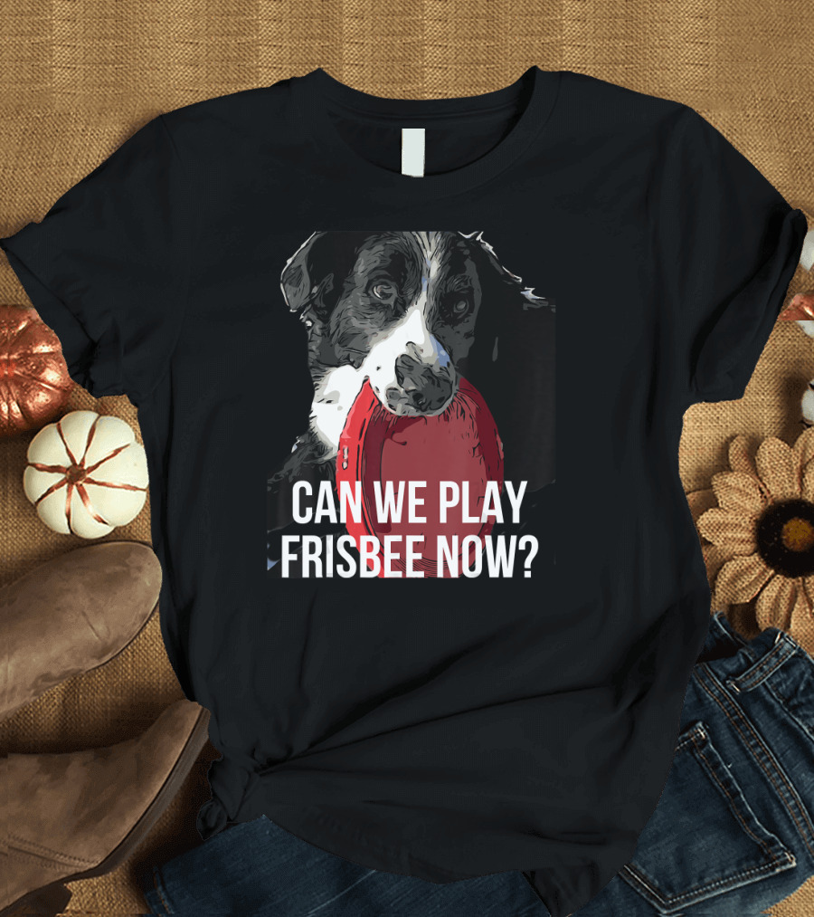 Australian Shepherd Can We Play Frisbee Now? T-Shirt