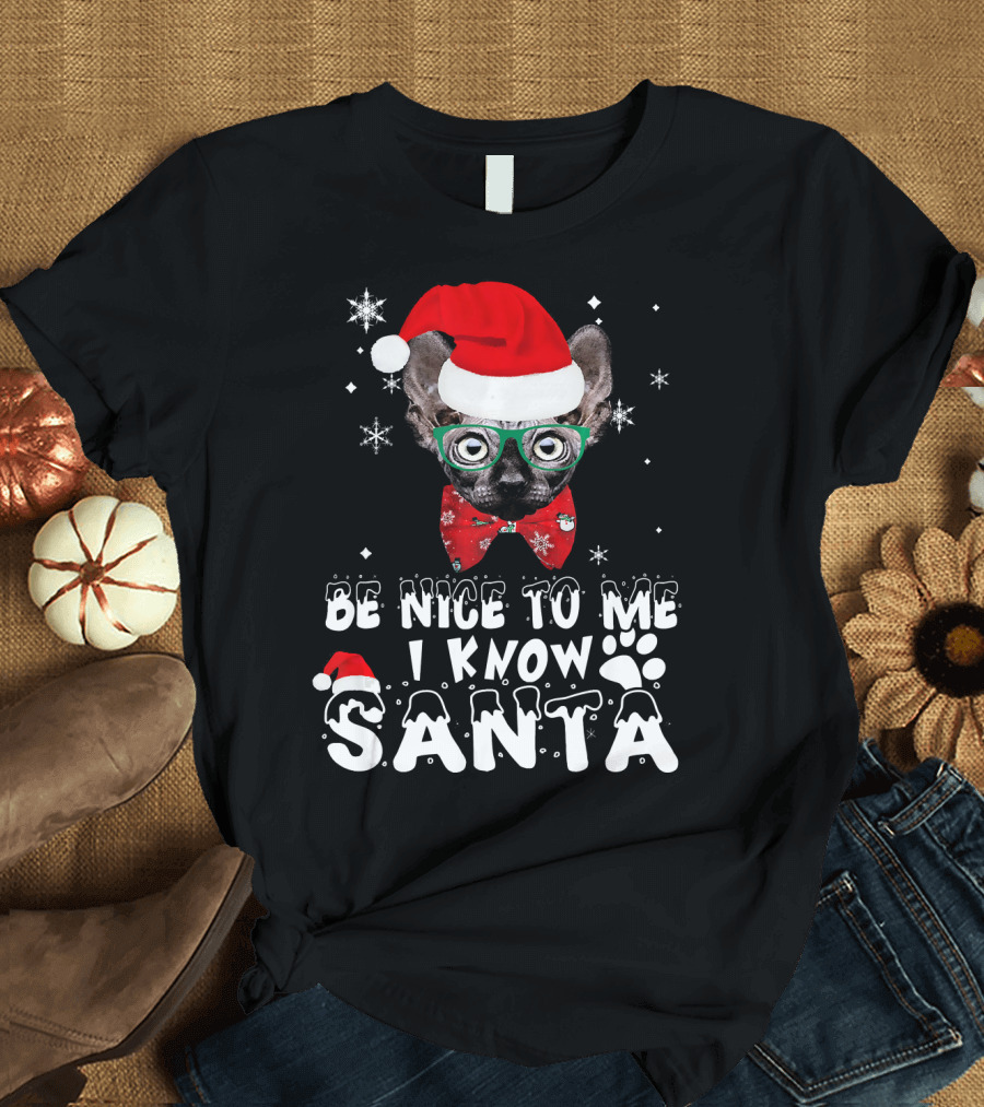Be Nice To Me I Know Santa Sphynx Cat Christmas Hat Snowflakes T-Shirt