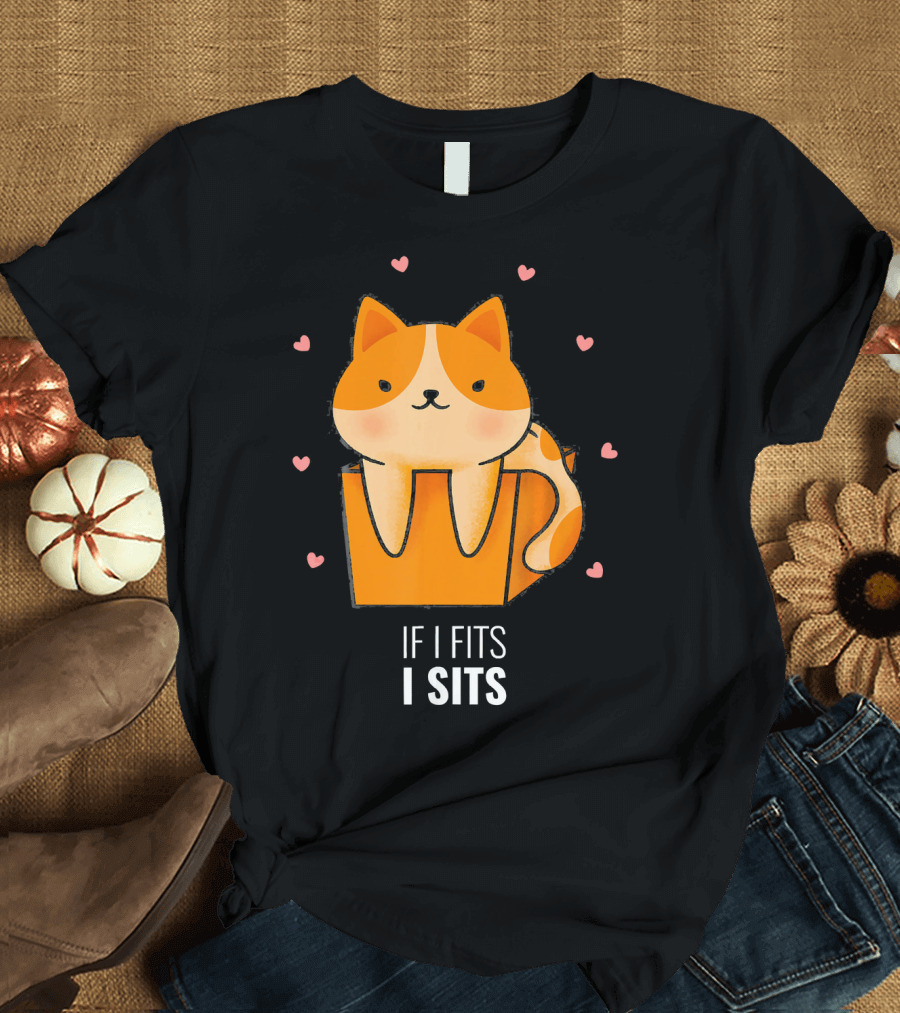 If I Fits I Sits Cat In Box Kitty Surrounded by Hearts T-Shirt