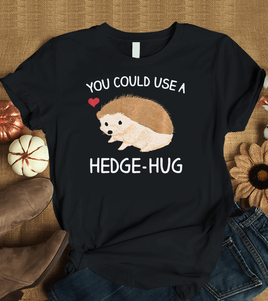 You Could Use A Hedge-Hug Cute Hedgehog Heart T-Shirt