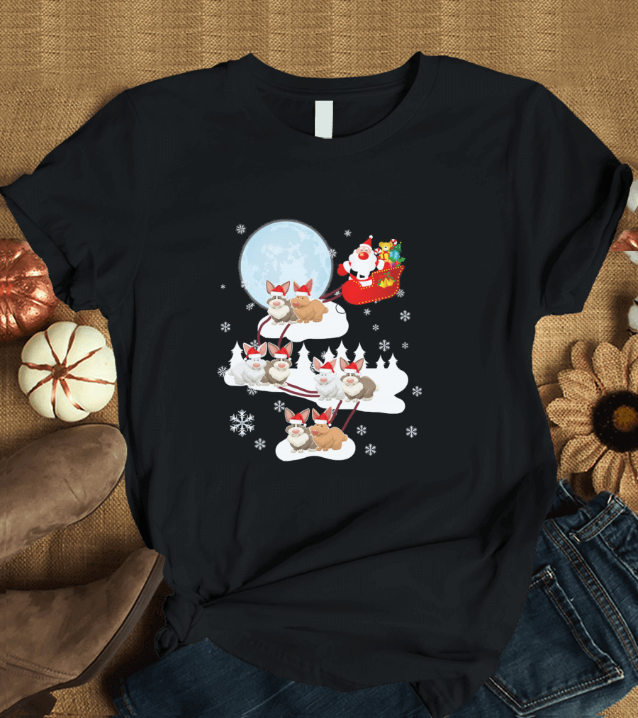 Santa Rabbit Sleigh with Festive Moon and Snowflakes T-Shirt