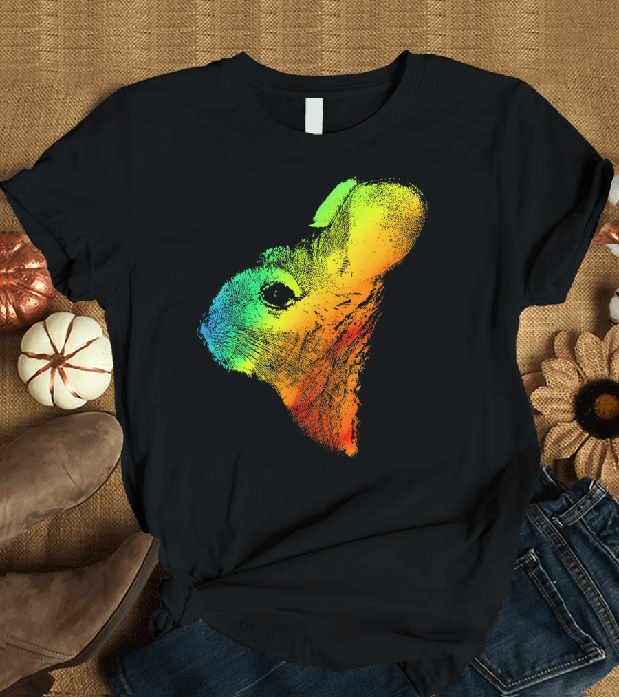CHINCHILLA Rainbow Retro Colorful Long T-Shirt