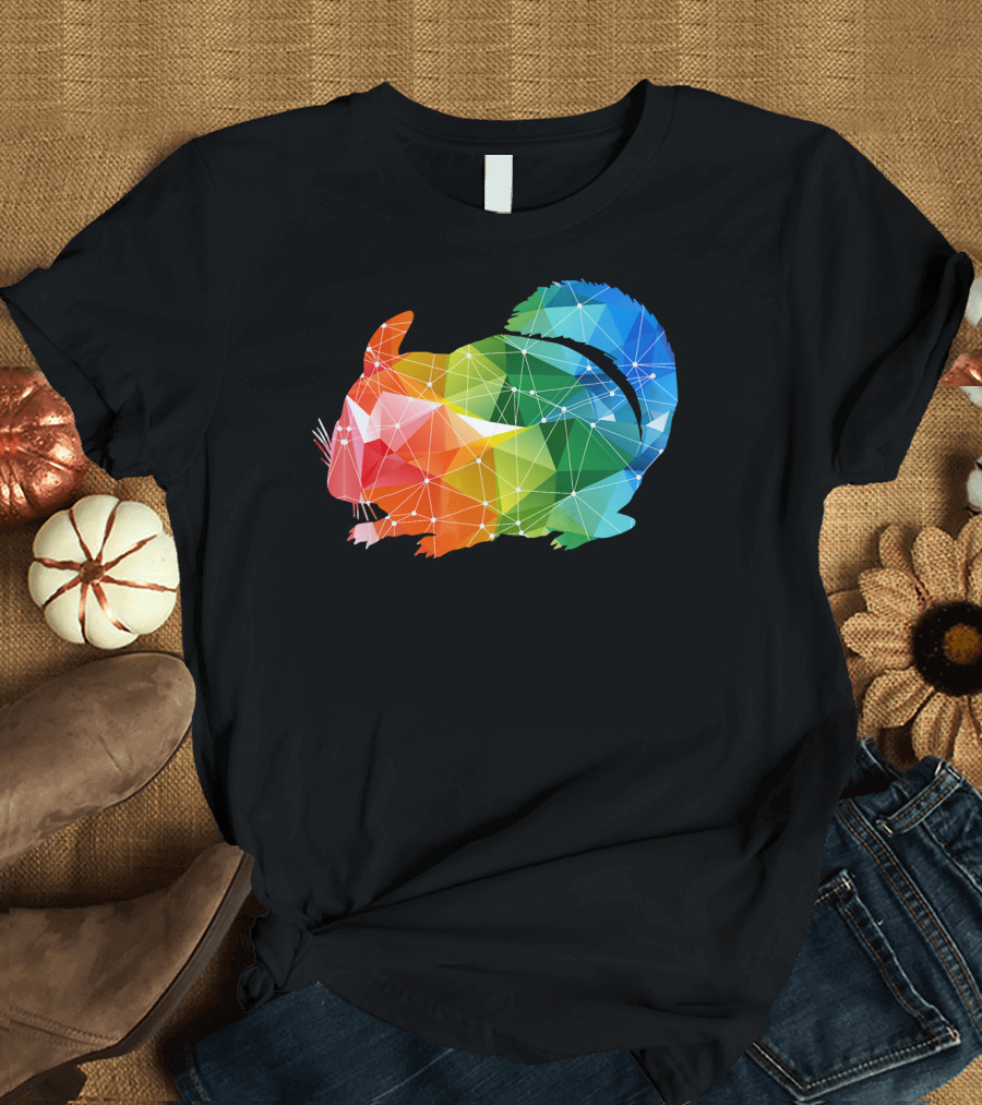 Vibrant Geometric Rainbow Chinchilla T-Shirt