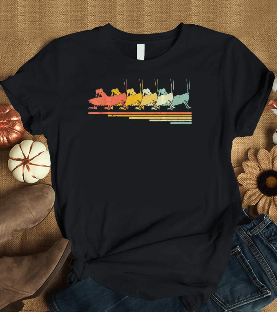 Grasshopper Retro Vintage 70s 80s Striped Colors T-Shirt