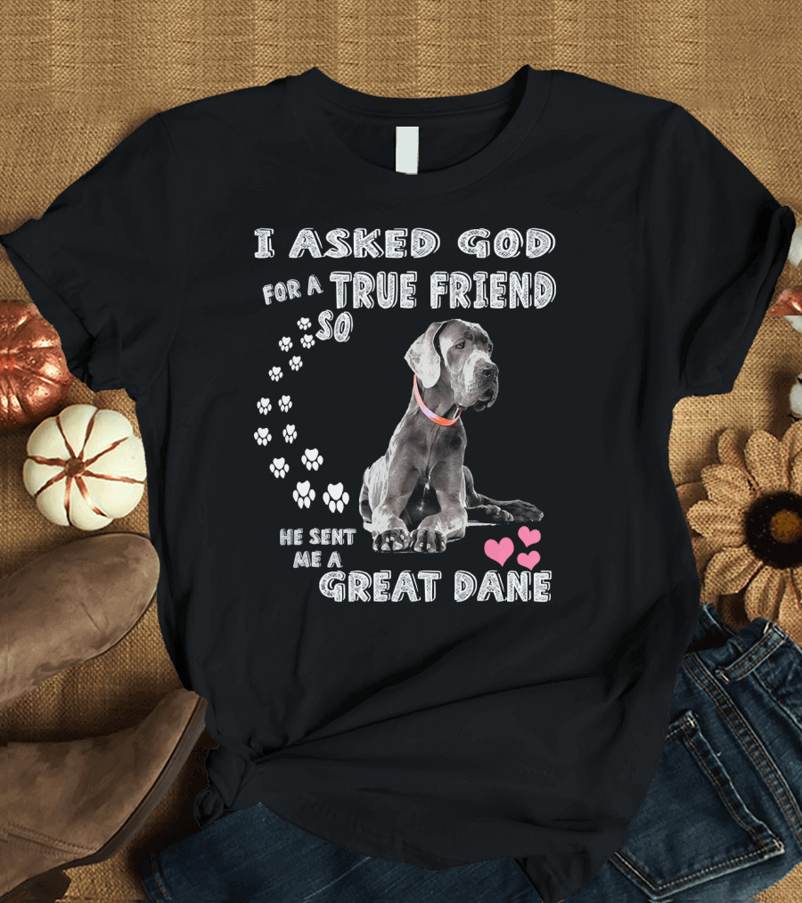 I Asked God for a True Friend So He Sent Me a Great Dane T-Shirt