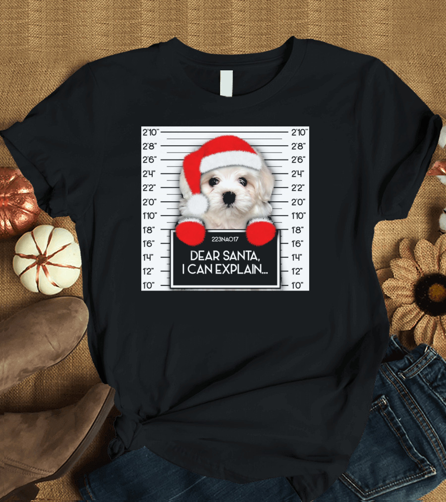 Funny Xmas Maltese Lover Santa Hat Dog Dear Santa I Can Explain T-Shirt