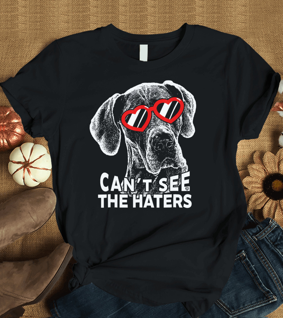 Great Dane Can't See The Haters Heart Glasses Fun T-Shirt