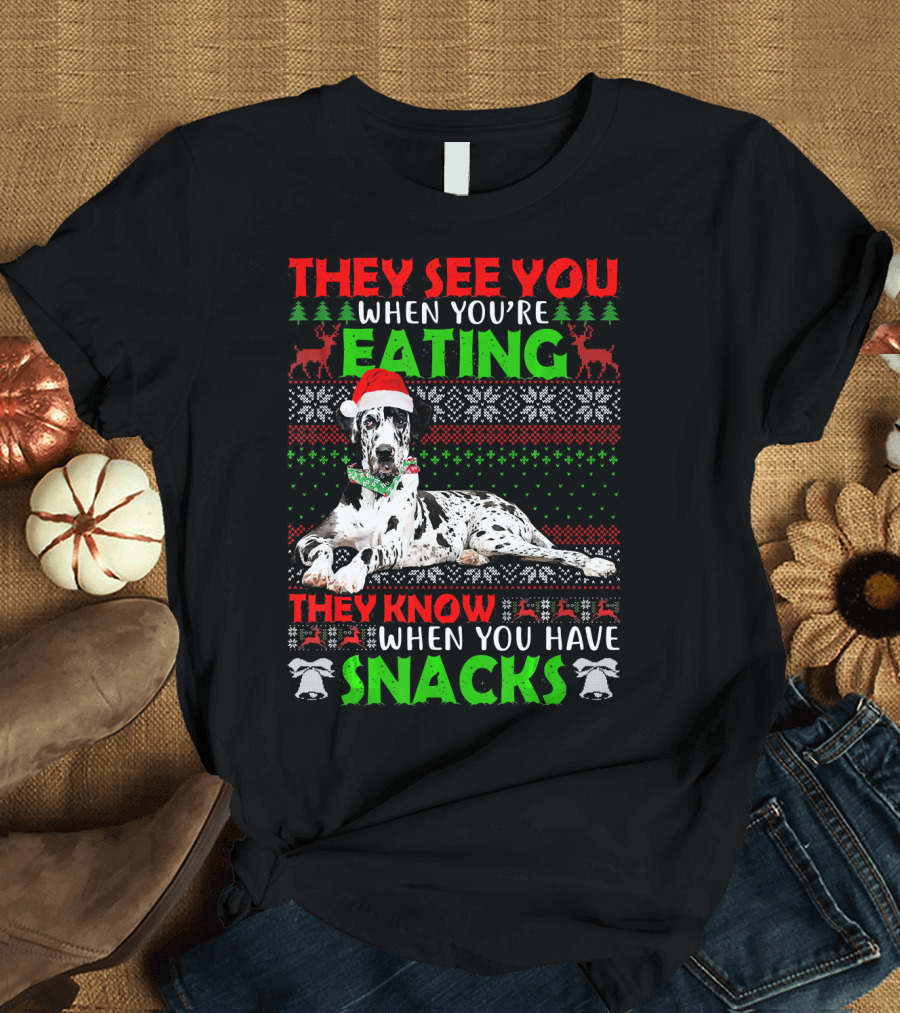 Ugly Christmas Great Dane They See You When You're Eating Snacks T-Shirt