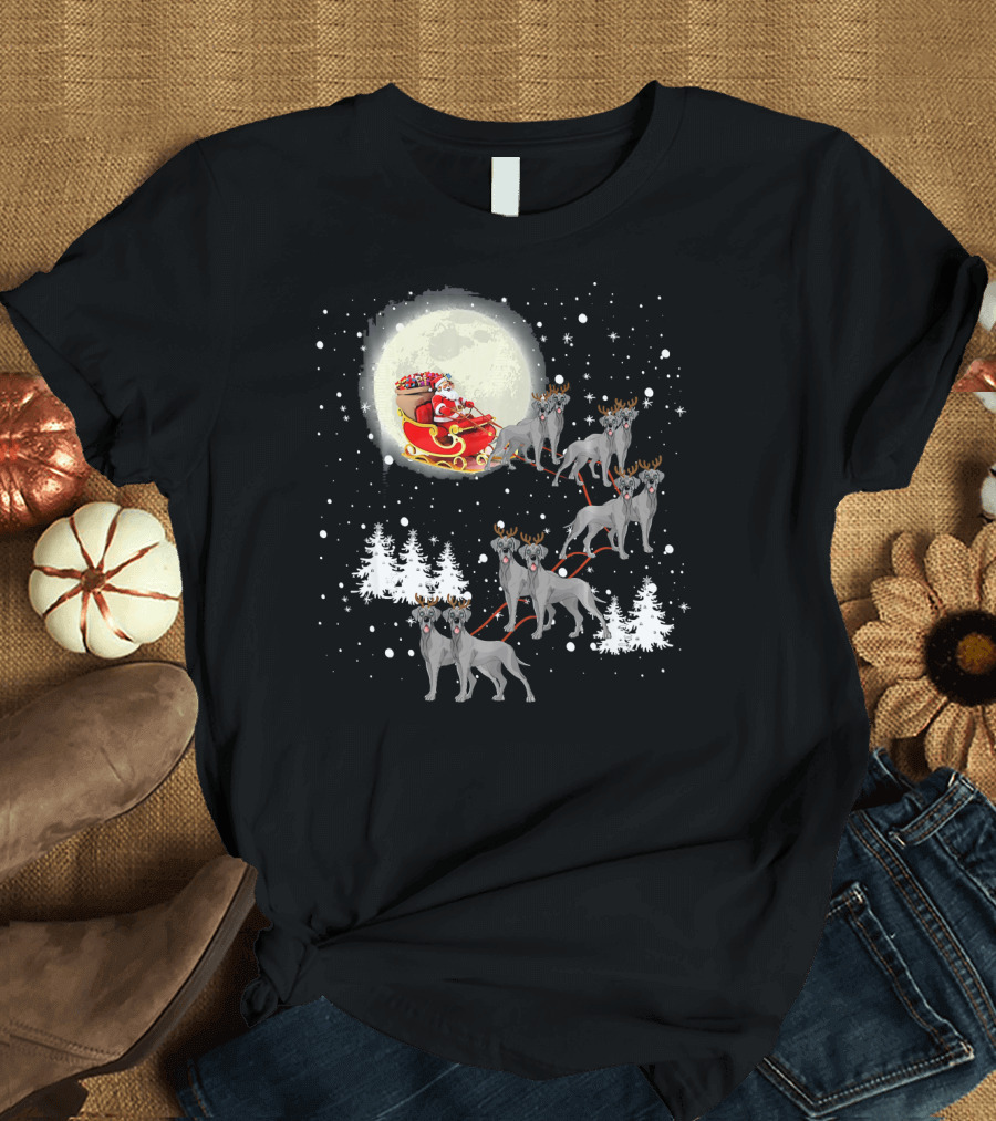 Santa Sleigh with Great Dane Reindeer and Christmas Lights T-Shirt