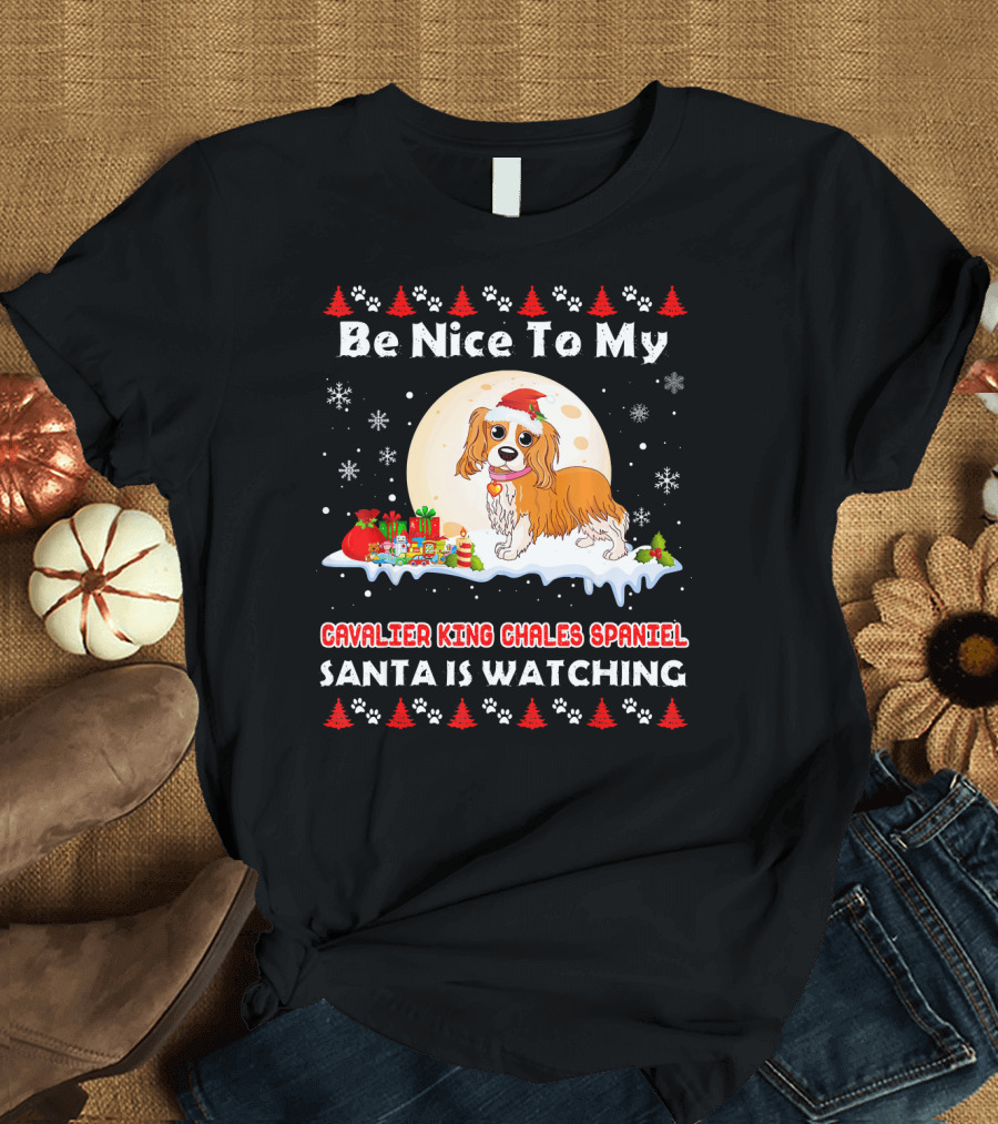 Be Nice To My Cavalier King Charles Spaniel Santa Is Watching T-Shirt