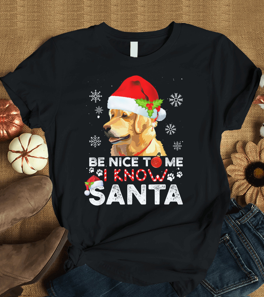 Be Nice To Me I Know Santa Golden Retriever with Santa Hat and Snowflakes T-Shirt