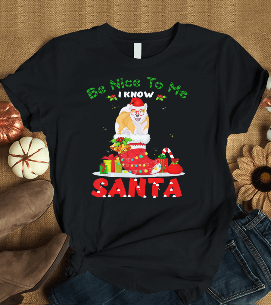 Be Nice To Me I Know Santa Akita Inu Dog Christmas Stocking Gifts T-Shirt