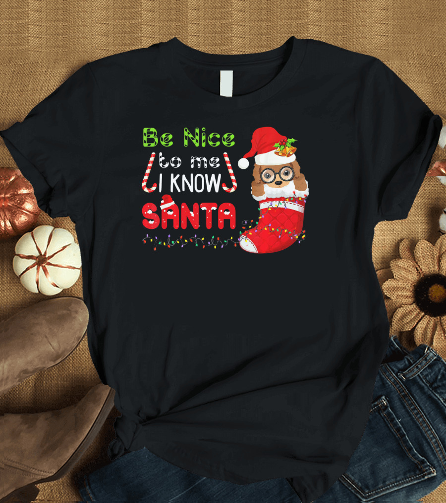Be Nice to Me I Know Santa Poodle Christmas Stocking Dog T-Shirt
