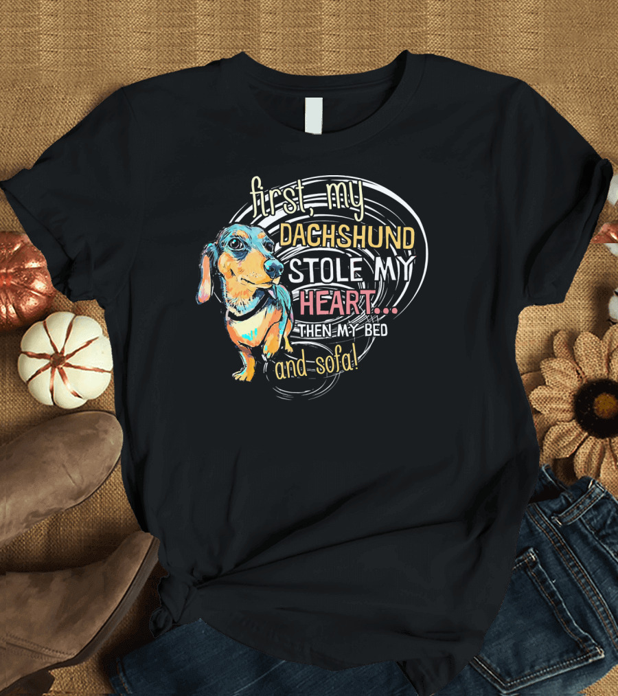 First My Dachshund Stole My Heart Then My Bed and Sofa Funny Doxie Wiener T-Shirt