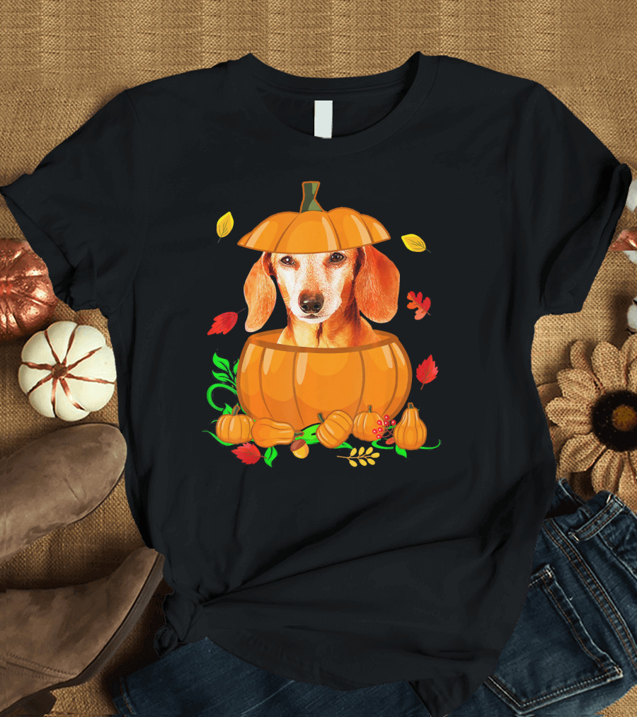 Pumpkin Dachshund Autumn Funny Lover Pumpkin Decor Leaves T-Shirt