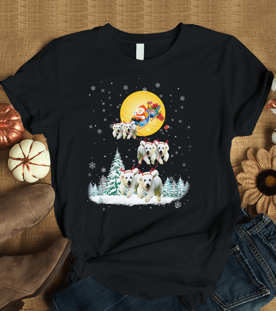 Santa's Sledge Reindeer Poodle Dogs in Snow Scene T-Shirt