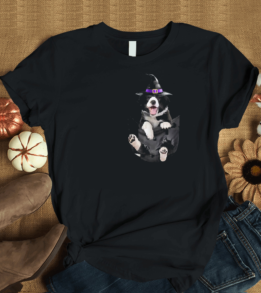 Border Collie Puppy Halloween Witch Hat Costume Funny Dog T-Shirt