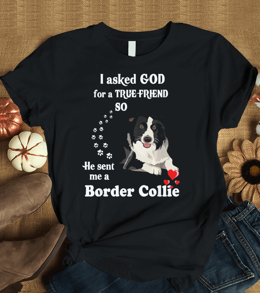 I Asked God for a True Friend So He Sent Me a Border Collie T-Shirt